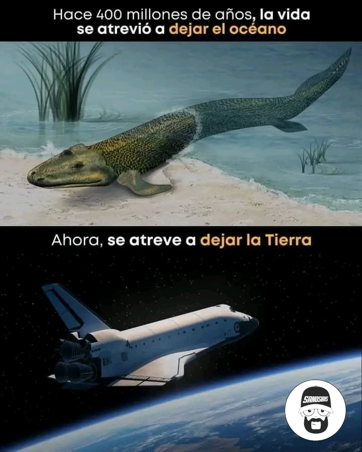 Dejar el Océano | Dejar la Tierra